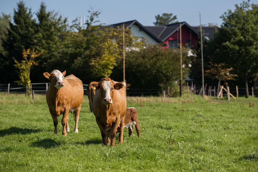 Landgasthof Gut Marienbildchen Roetgen Zewnętrze zdjęcie